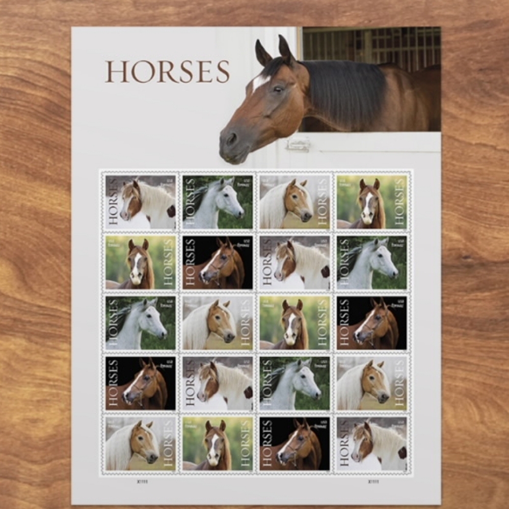 100 Horses 2024 Forever Postage Stamps US Postal USPS Equestrian Riding‎ Ponies